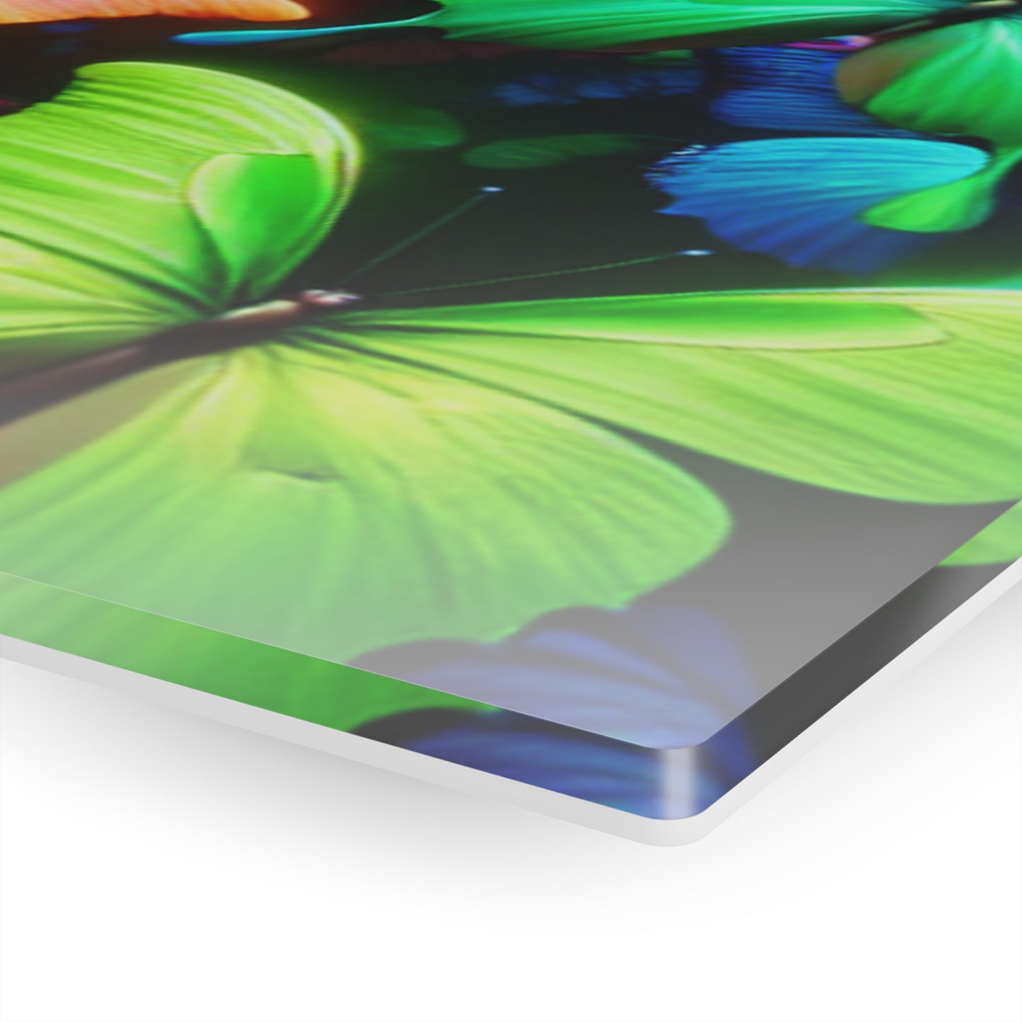 Neon Butterfly Splendor. NEON Butterflies Art 1/4" Glossy Acrylic Art