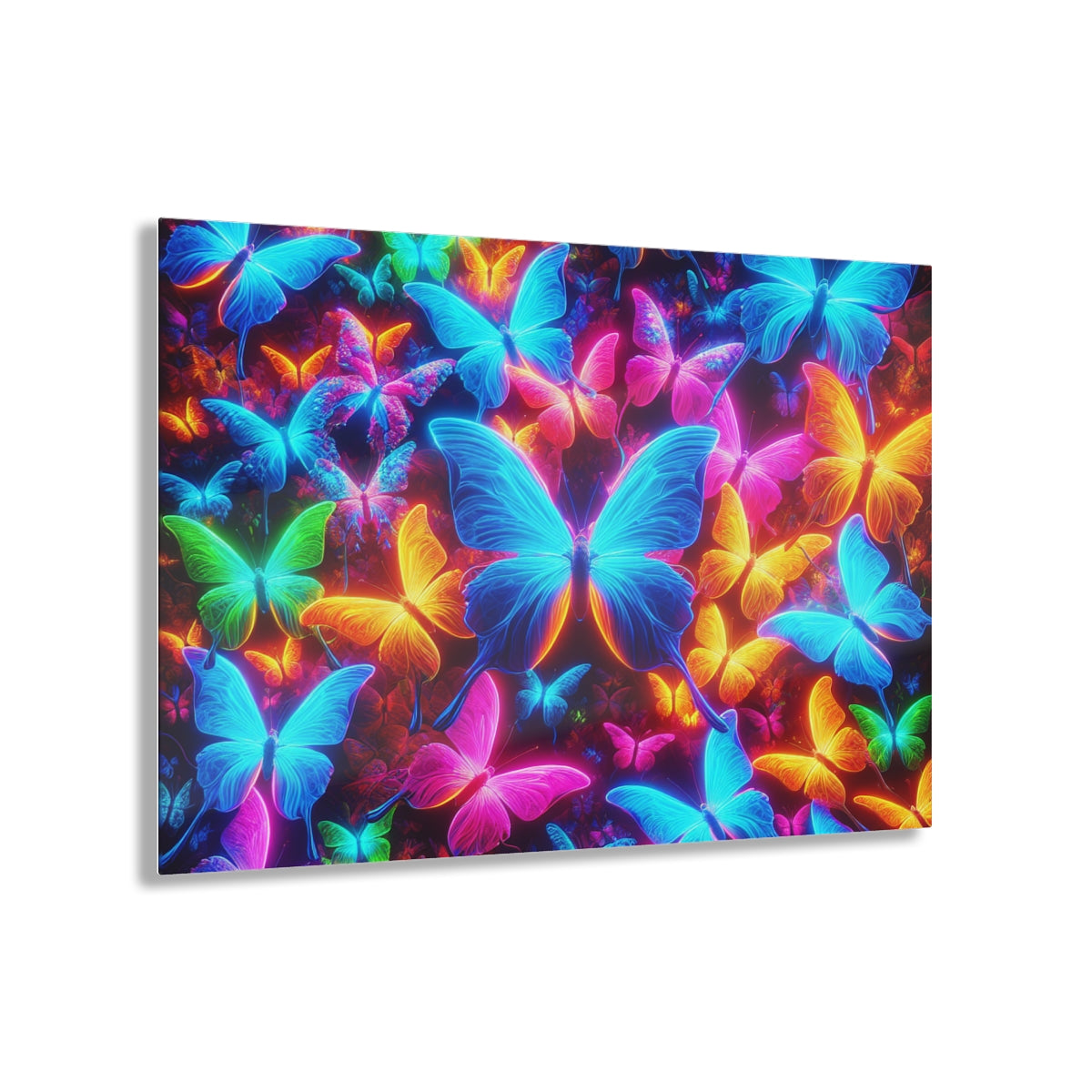 Butterflies Products Collection
