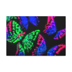 "Nebula of Neon Butterflies" Neon Butterflies  Art Canvas