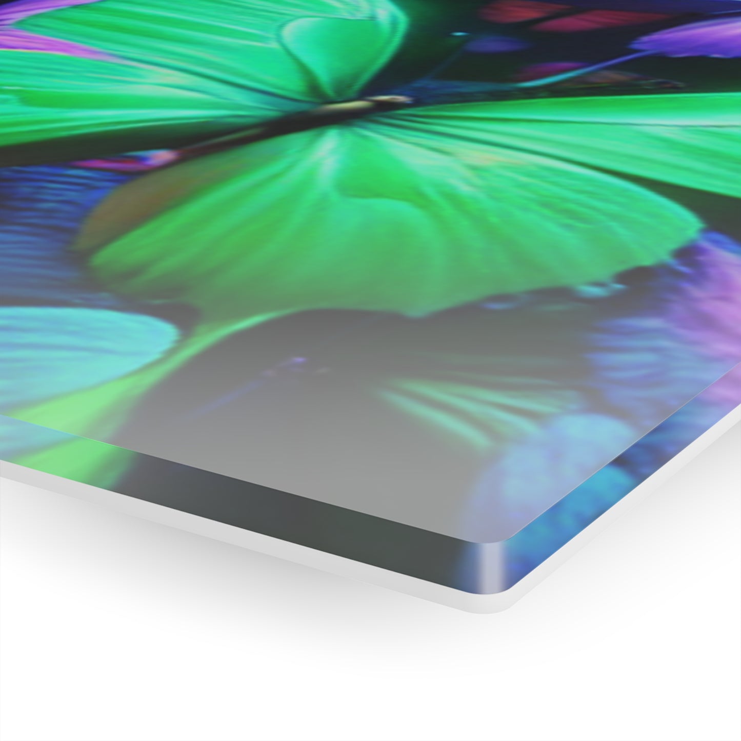 Neon Butterfly Splendor. NEON Butterflies Art 1/4" Glossy Acrylic Art