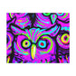 Neon Nocturnal Nocturne NEON Owls Art Canvas